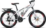 Xe đạp địa hình thể thao Fascino W400X NEW